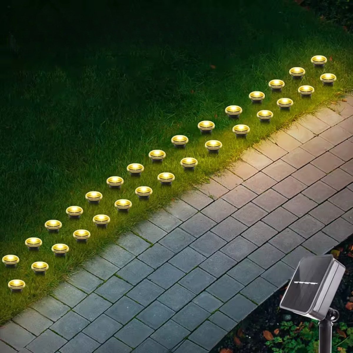 Solar Garden Path Light with 8 Brightness Settings and Auto Sensor