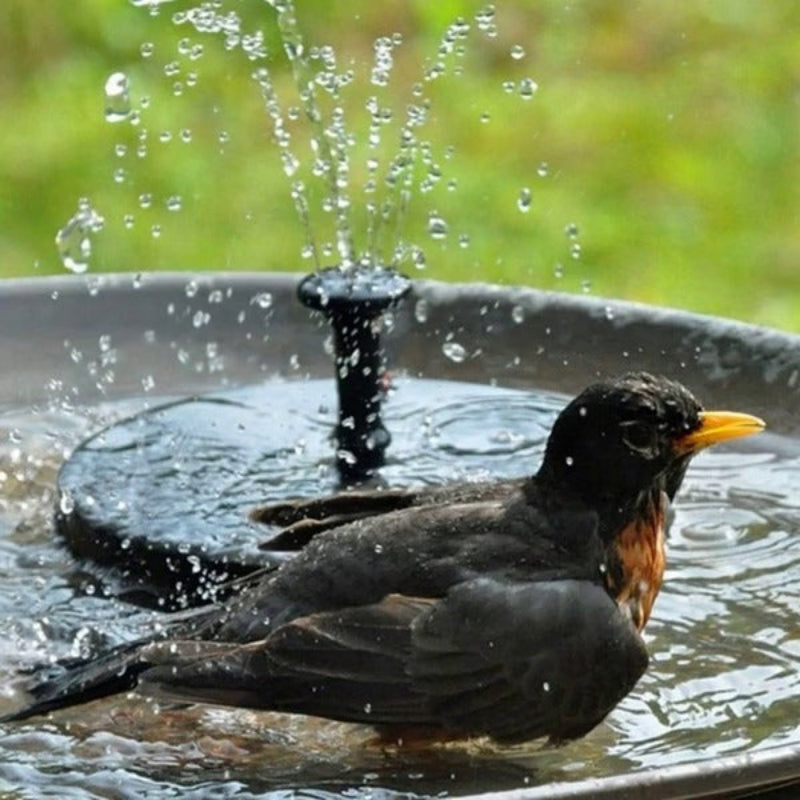 Eco-Friendly Solar Fountain Pump for Outdoor Decor