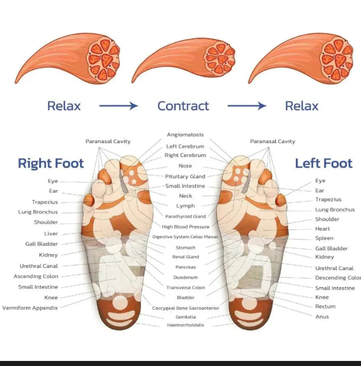 Rechargeable Comfort Foot Massager with Heat Therapy