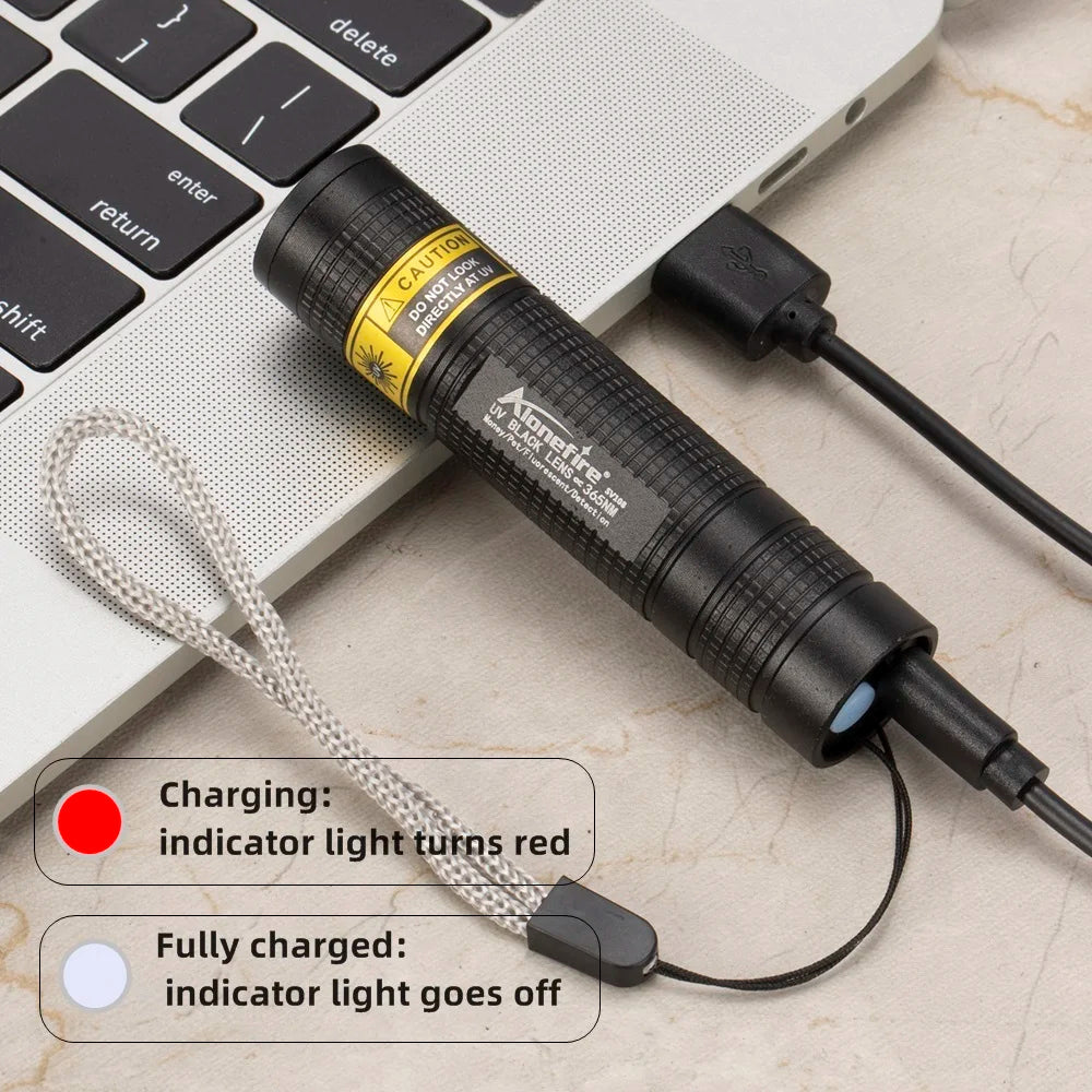 Compact UV Light for Pet Stain and Leak Detection