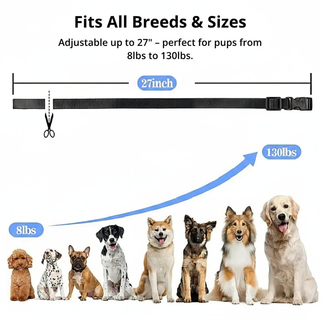 Smart Obedience Training Collar | 1000m Range & Waterproof