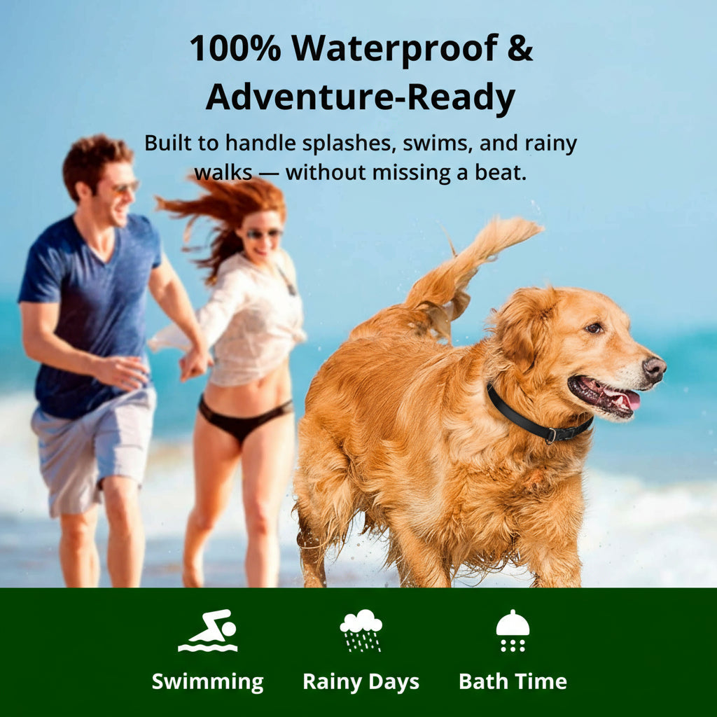 Smart Obedience Training Collar | 1000m Range & Waterproof