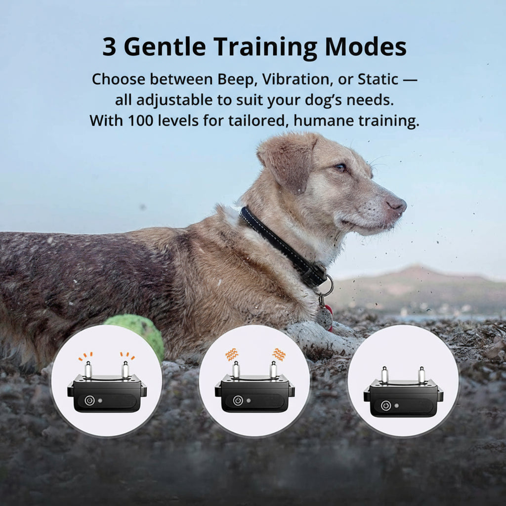 Smart Obedience Training Collar | 1000m Range & Waterproof