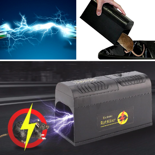 Smart Rodent Eliminator | Humane Electric Trap for Home Use