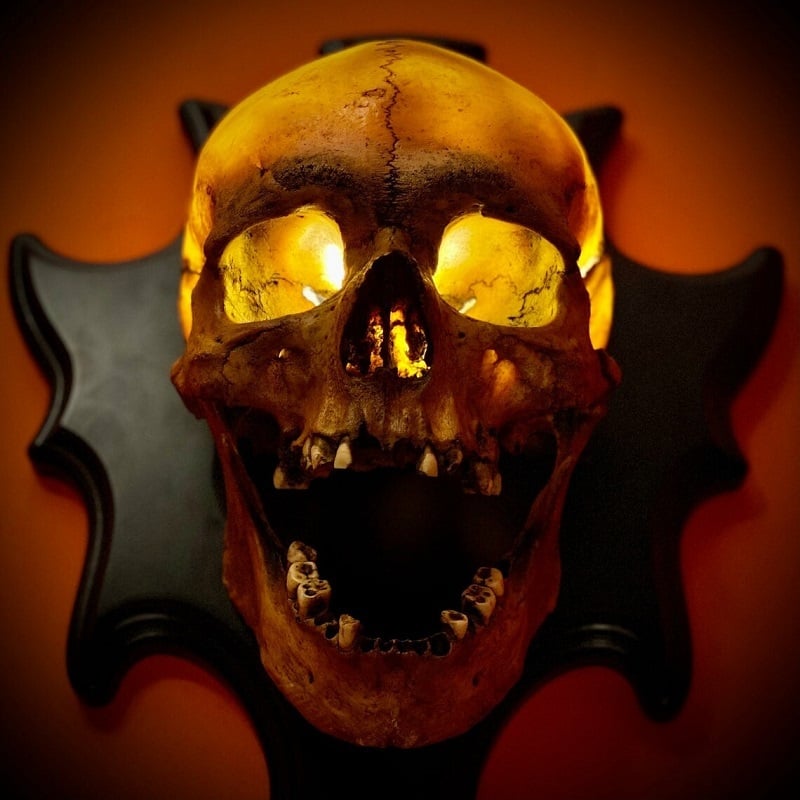 Skull Shaped Wall Light Fixture