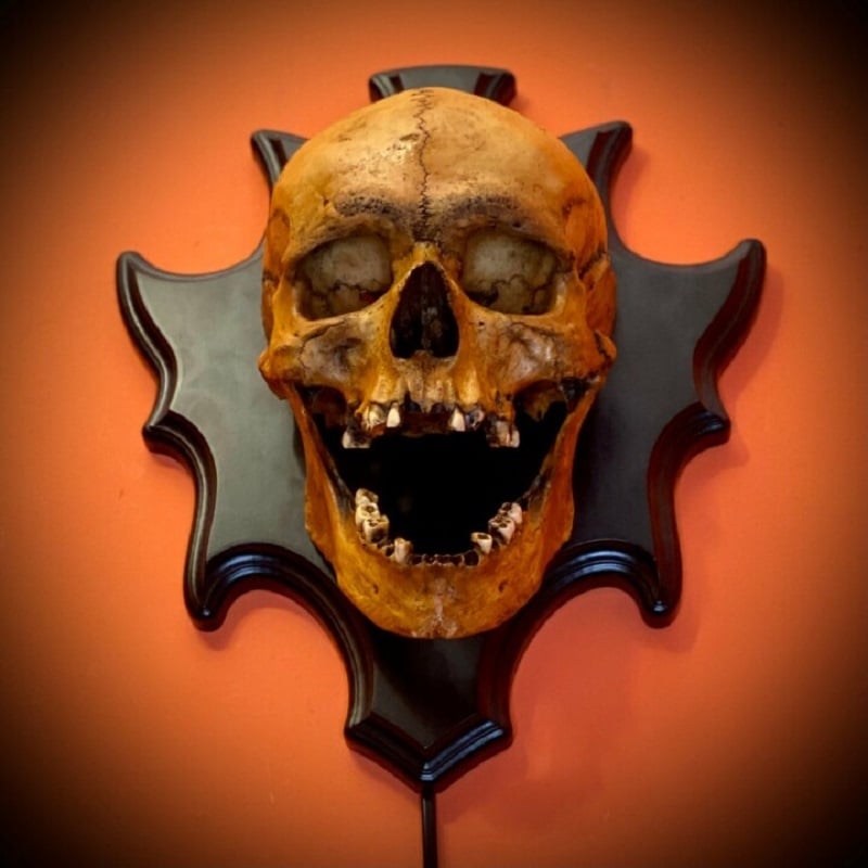 Skull Shaped Wall Light Fixture