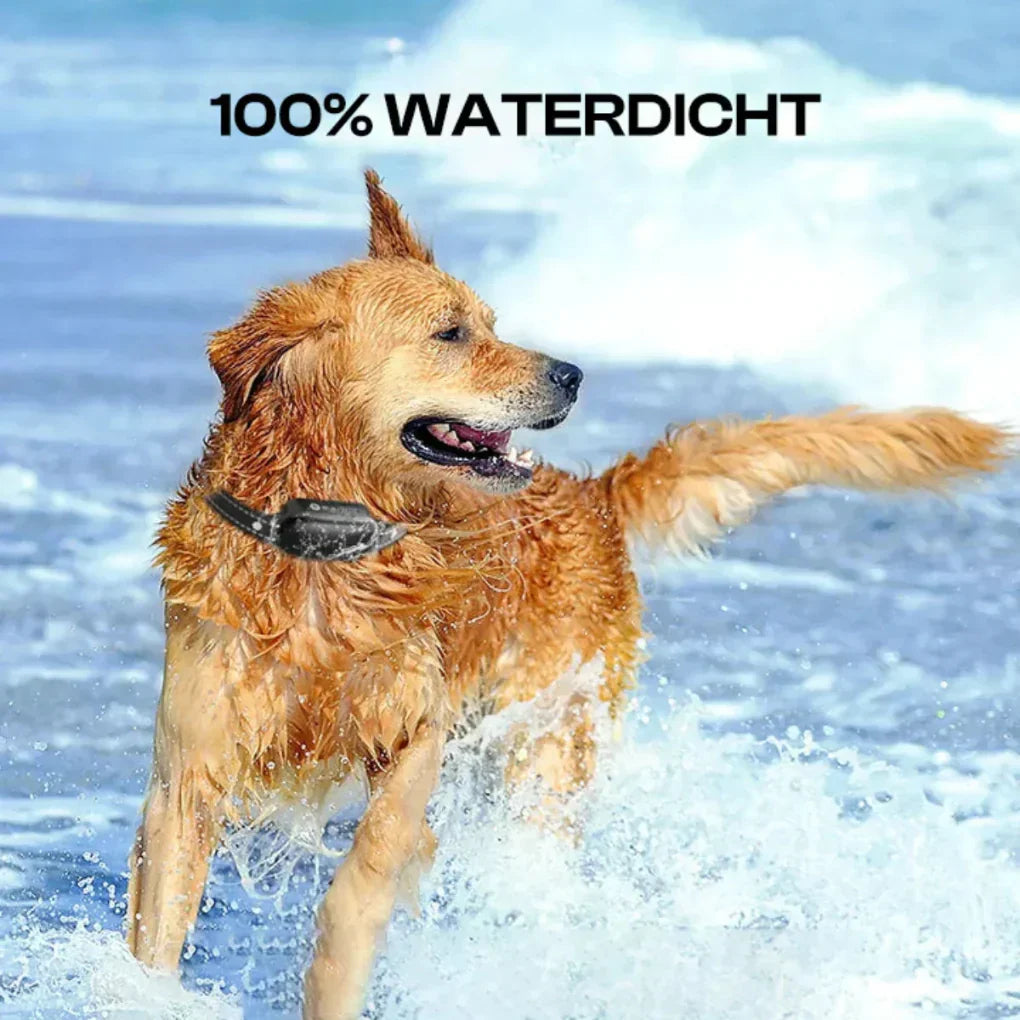 PawGuardian | Advanced Remote Training Collar with 1000m Range & Waterproof Design