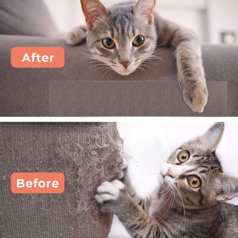 Cat Scratching Defense Shield