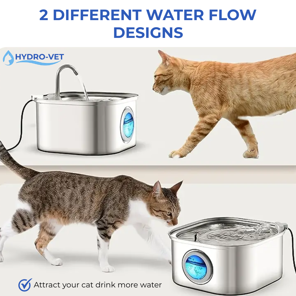Ultra-Quiet Pet Water Fountain with Enhanced Filtration | 3.2L Capacity