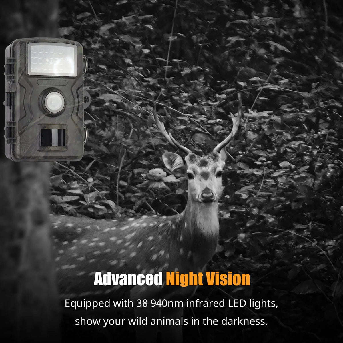 NatureWatch Pro | HD Night Vision Wildlife Monitoring Camera