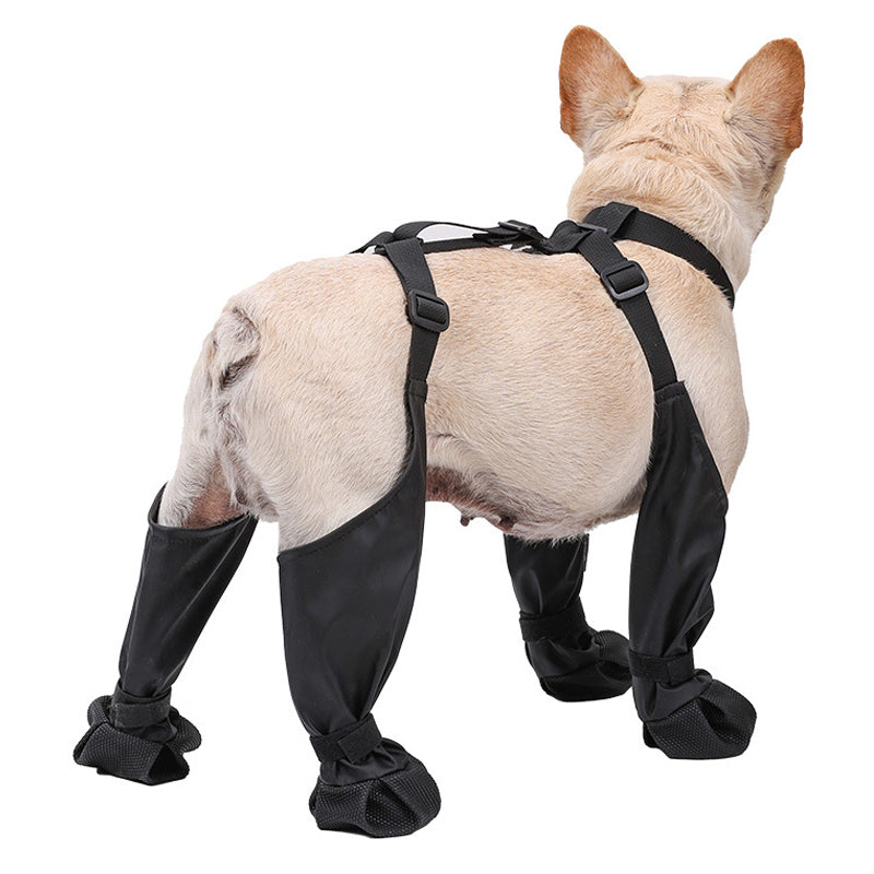 Comfort-Fit Outdoor Canine Booties