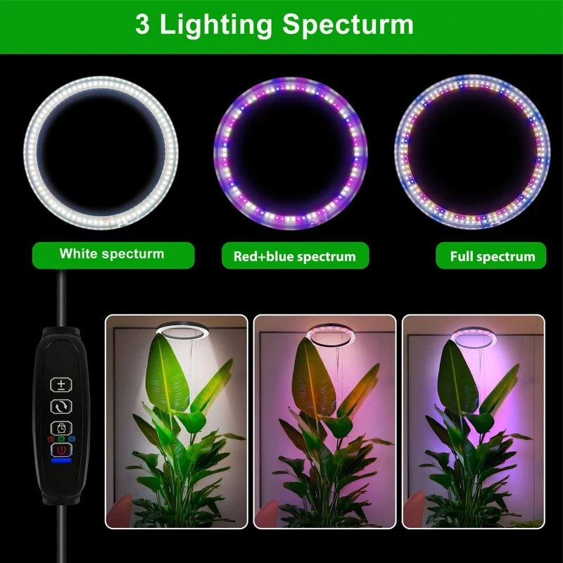 Indoor Plant Illumination System