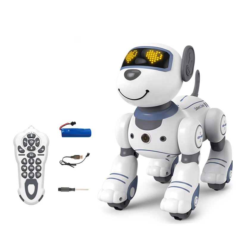 Interactive Companion Robot for Kids