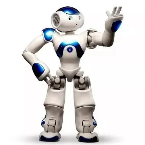 Interactive Humanoid Companion Robot with Advanced Sensors