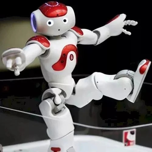 Interactive Humanoid Companion Robot with Advanced Sensors