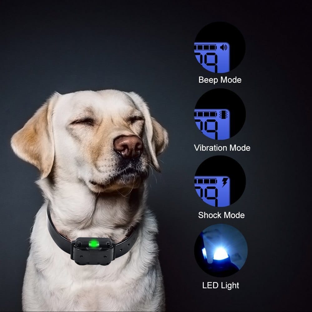 Smart Dog Training Collar with 800-Meter Range
