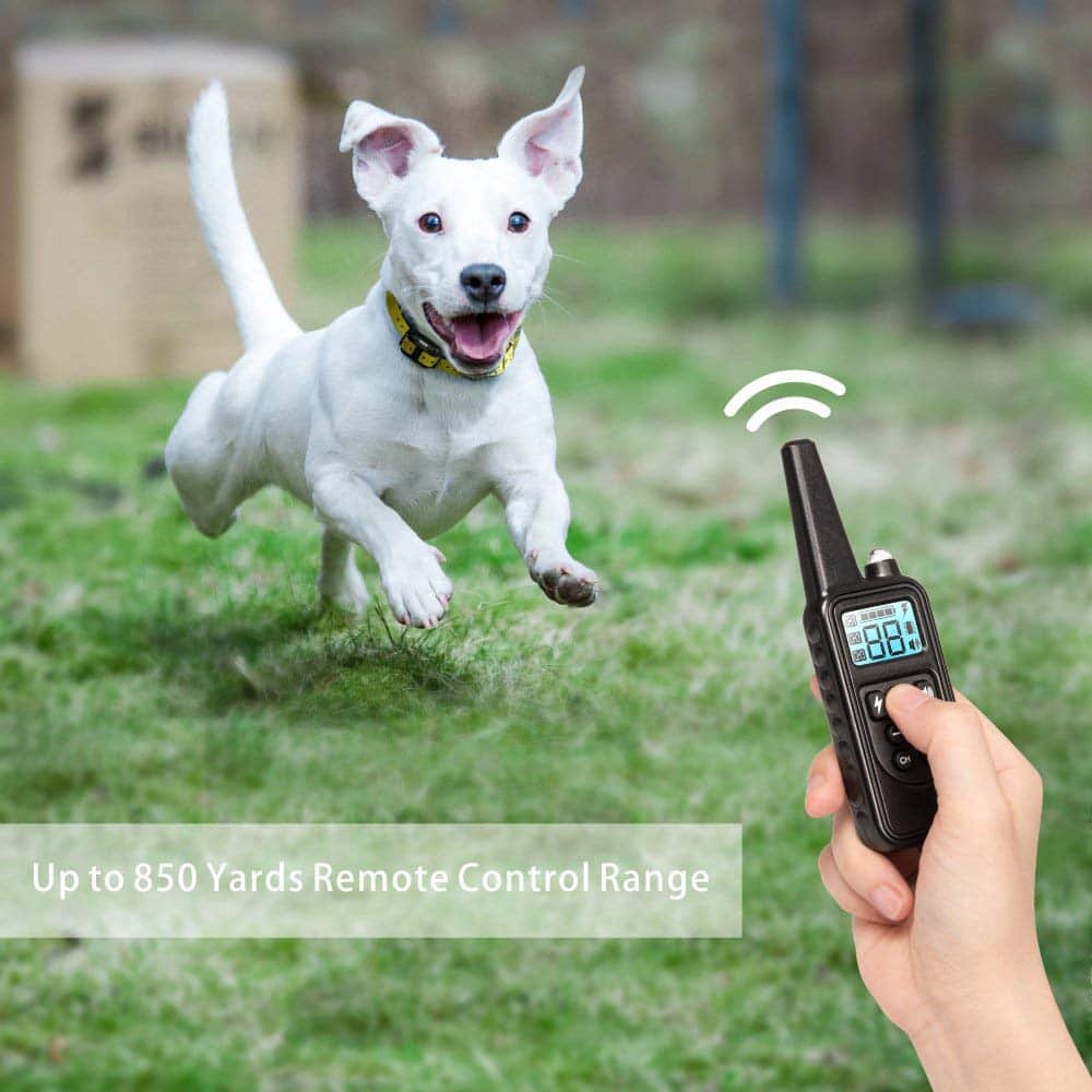 Smart Dog Training Collar with 800-Meter Range