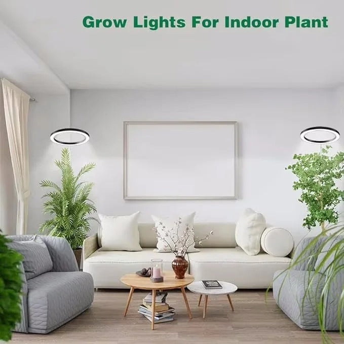 Indoor Plant Illumination System