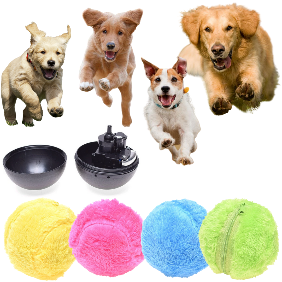 Exciting Motion Pet Sphere - 4 Vibrant Colors Included