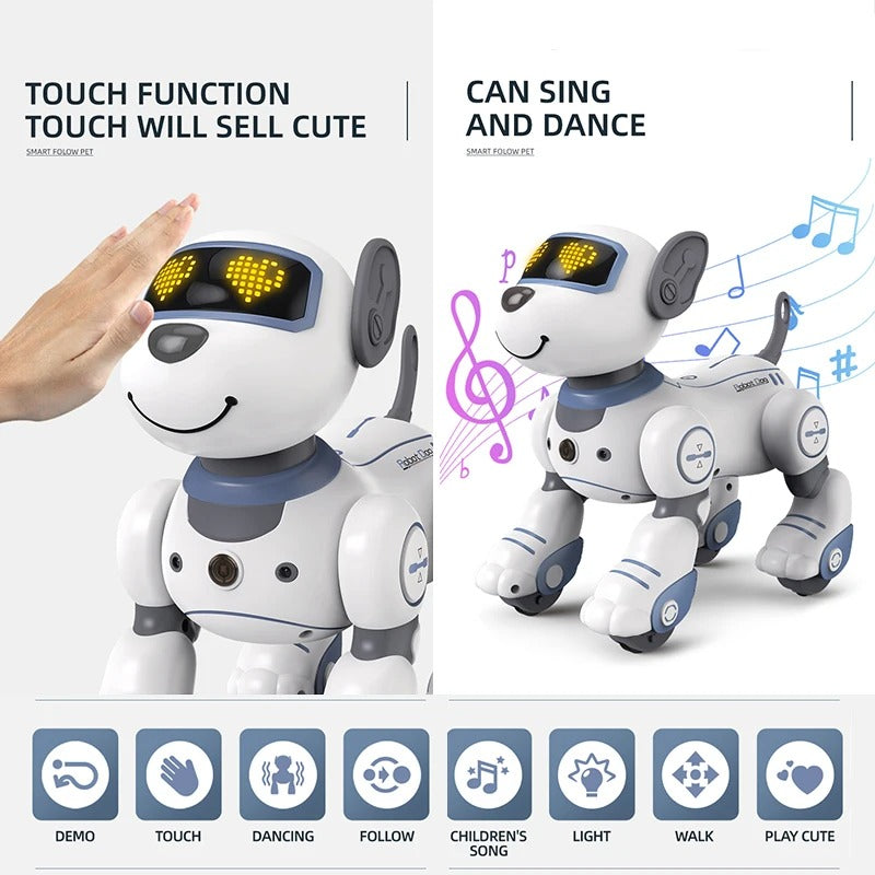 Interactive Companion Robot for Kids