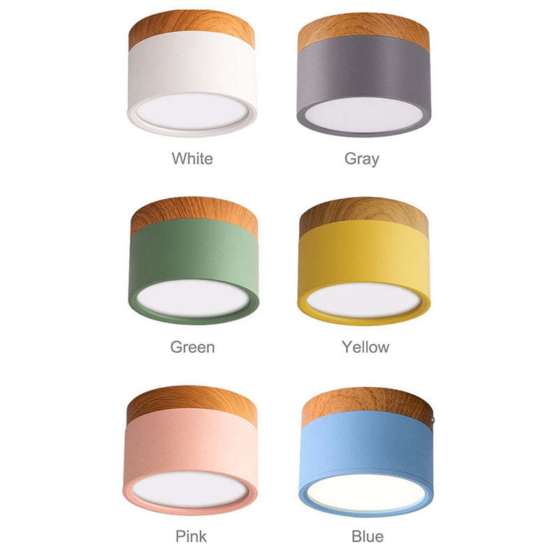 Modern LED Ceiling Light in Morandi Style
