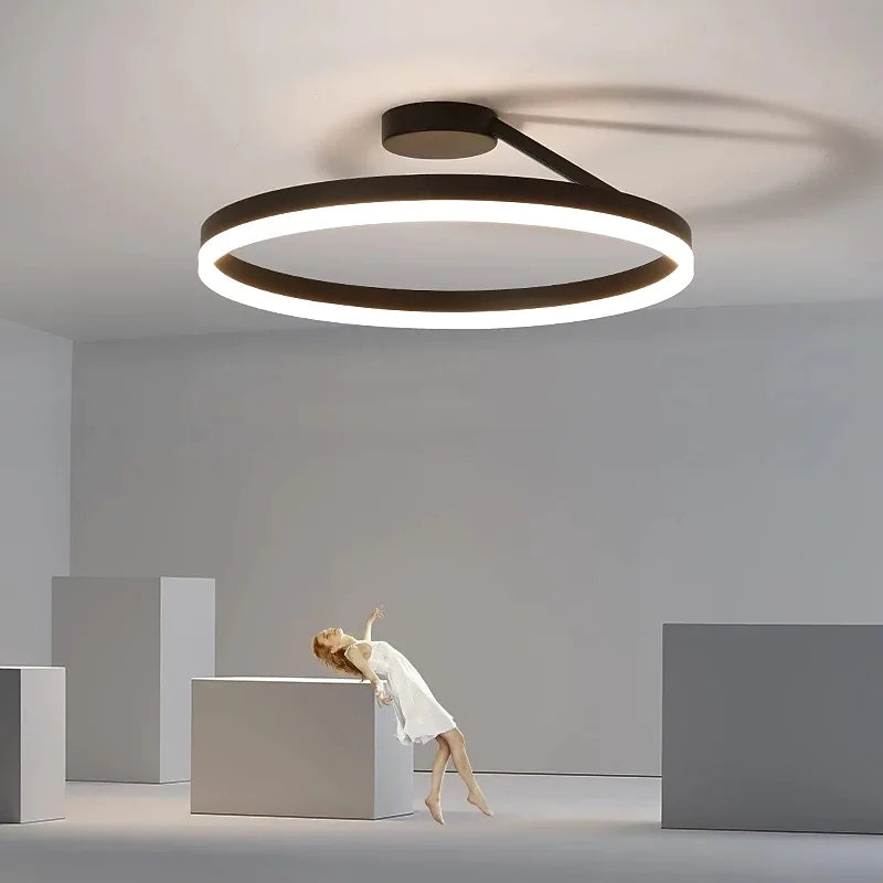 Contemporary LED Ceiling Light Fixture