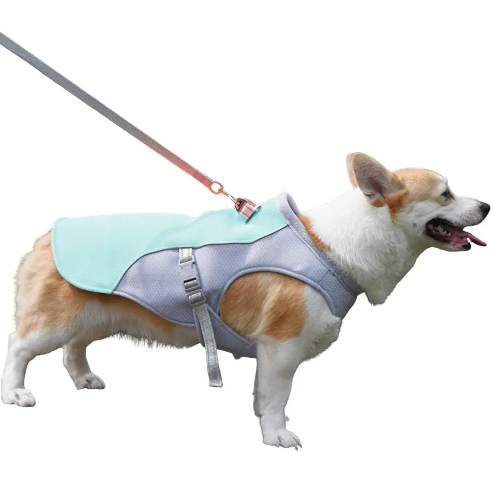Cooling Jacket for Dogs - Perfect for Summer Adventures