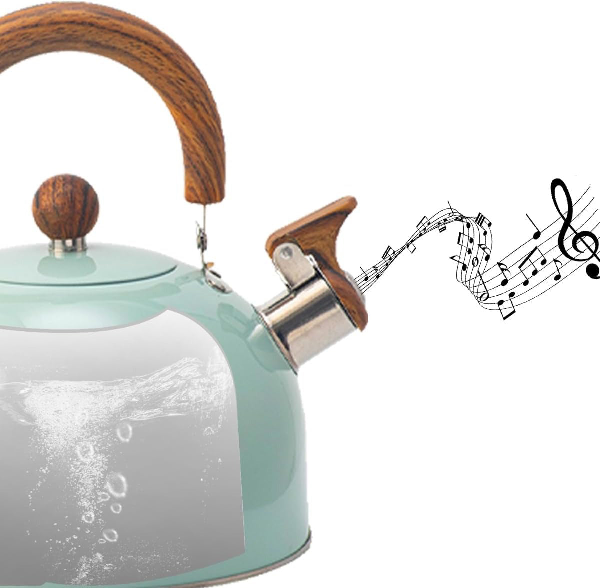 Whistling Stainless Steel Tea Kettle