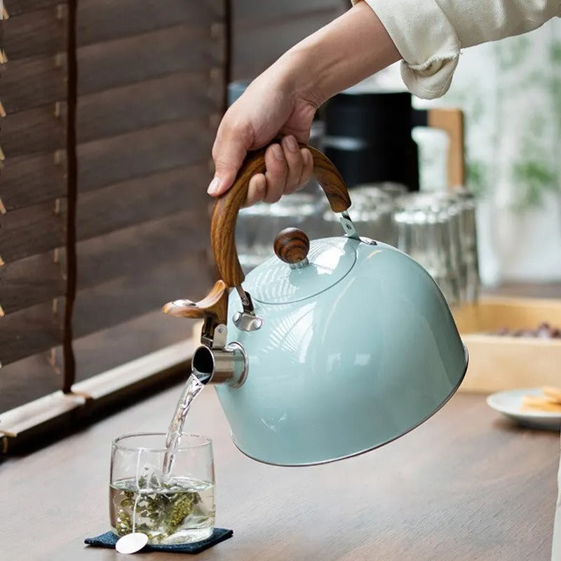 Whistling Stainless Steel Tea Kettle