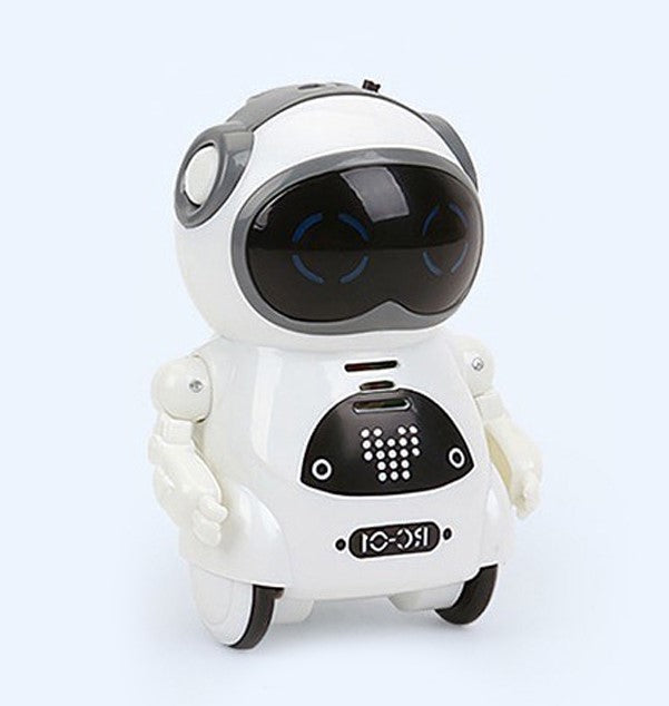 Mini Interactive Robot Companion