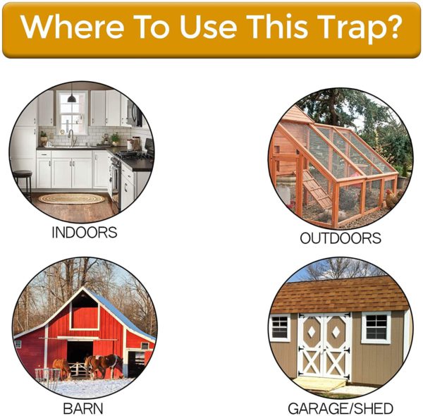 Smart Capture Mouse and Rat Prevention Lid