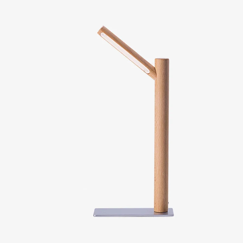 360° Adjustable Head LED Desk Lamp