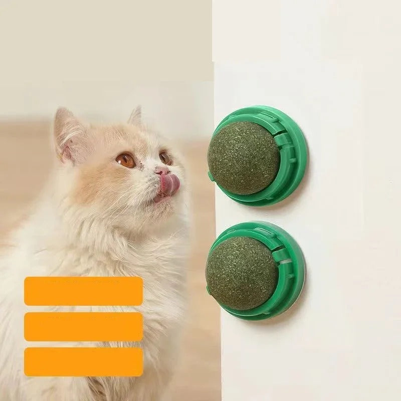 Set of 4 Interactive Catnip Spheres