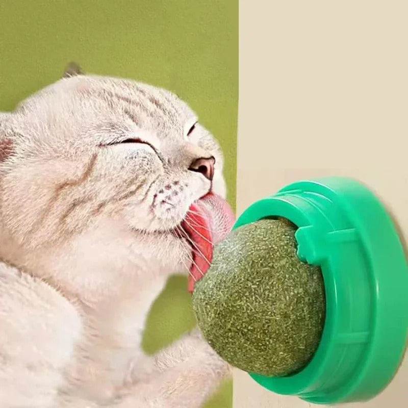 Set of 4 Interactive Catnip Spheres