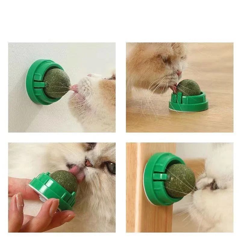Set of 4 Interactive Catnip Spheres