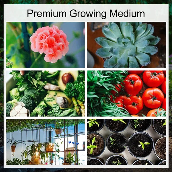 Premium Coconut Fiber Growing Medium for Vibrant Plants