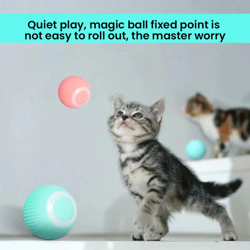 Dual-Mode Interactive Cat Play Toy