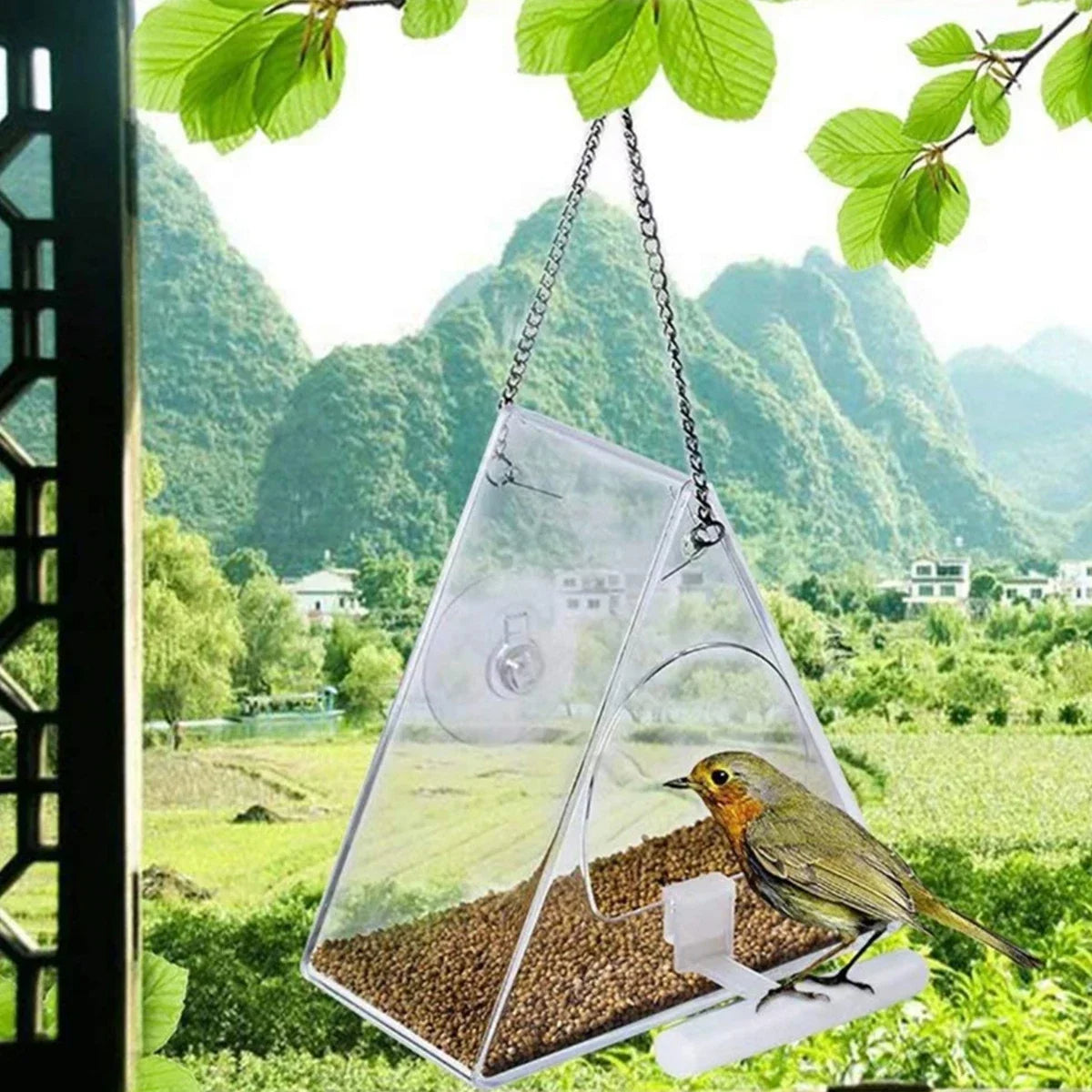 Transparent Acrylic Bird Feeder for Your Outdoor Sanctuary