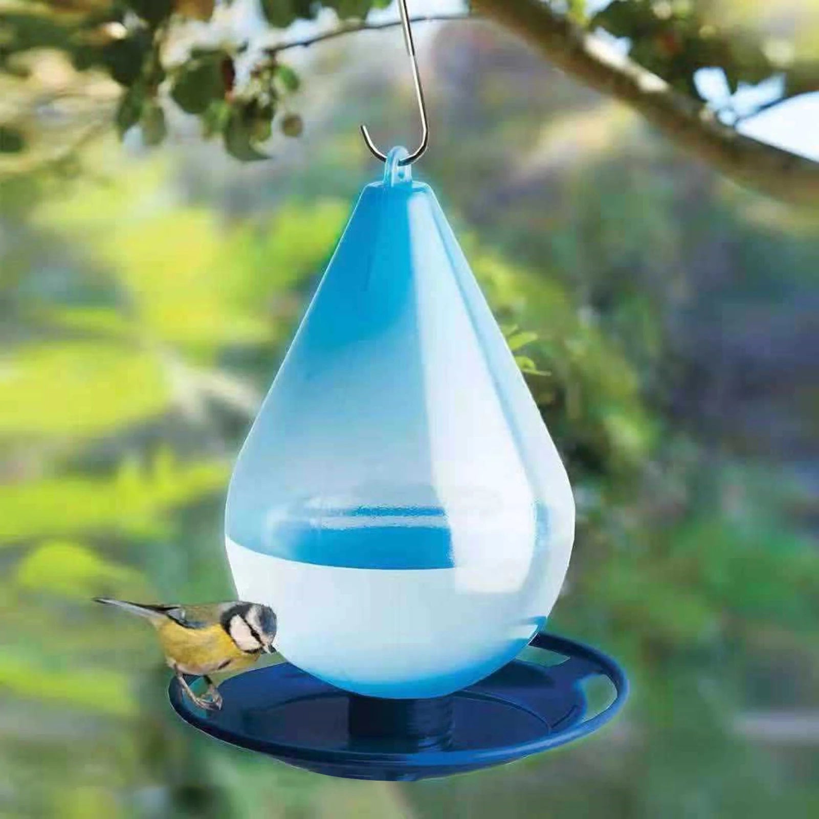 Elegant Water Station for Backyard Birds