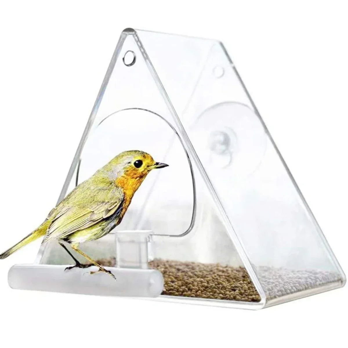 Transparent Acrylic Bird Feeder for Your Outdoor Sanctuary