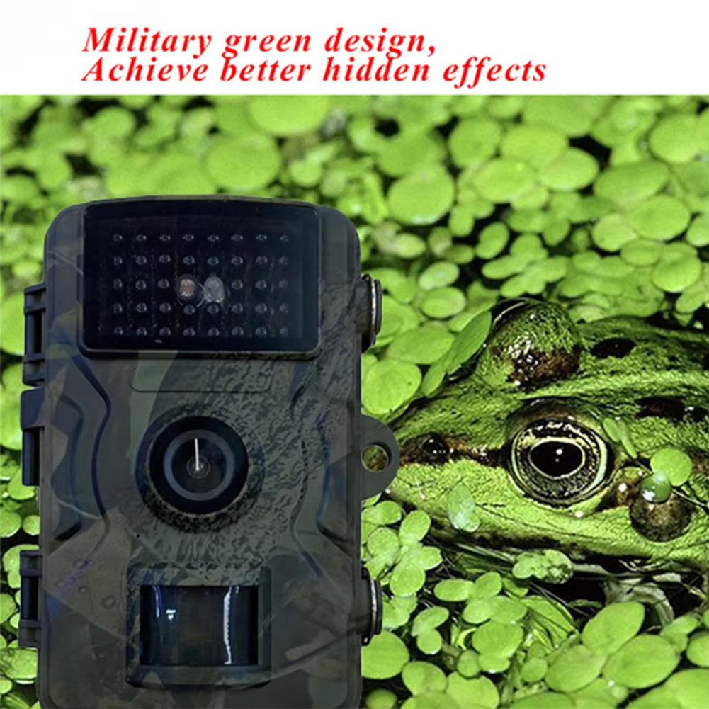 Capture Nature's Secrets with the StealthView Wildlife Camera