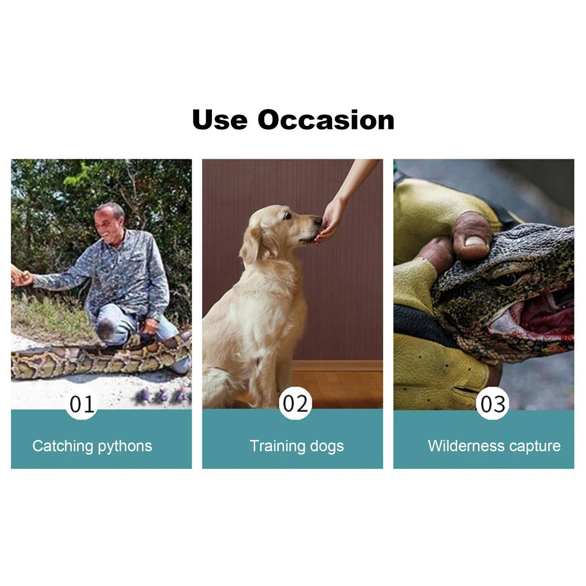 Animal Handling Safety Gloves