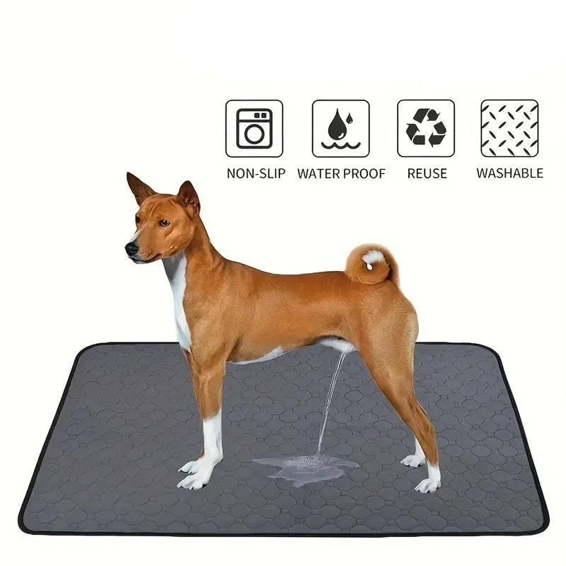 Ultimate Pet Training Pads: Disposable & Washable