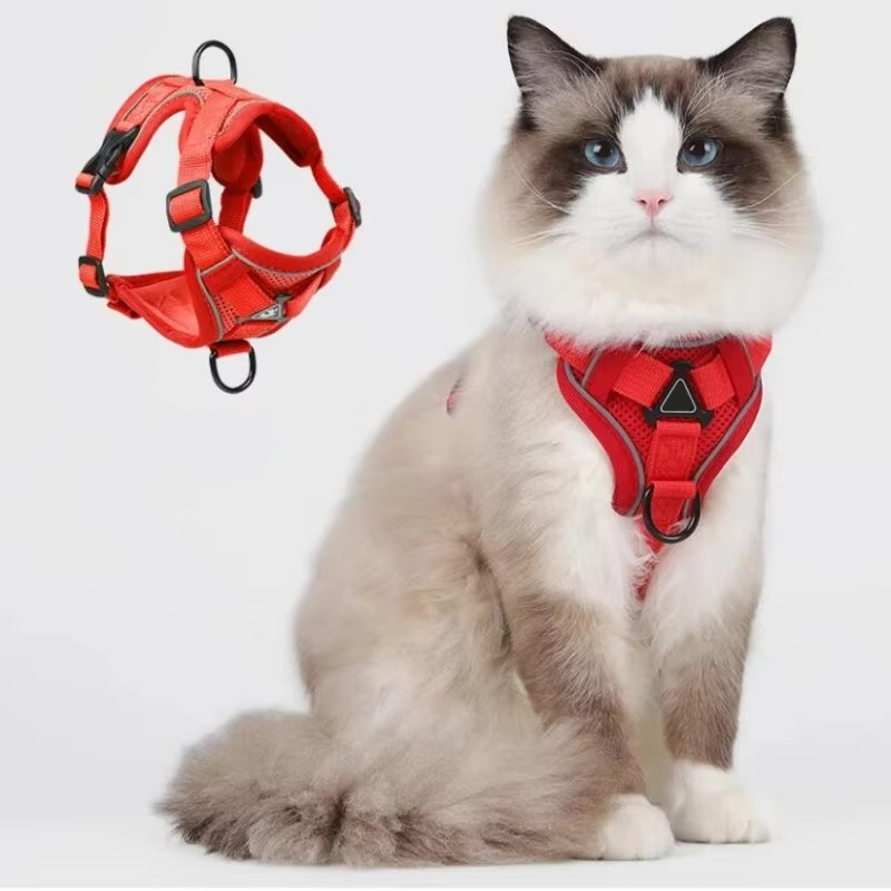 Comfort Fit Cat Harness and Leash Combo