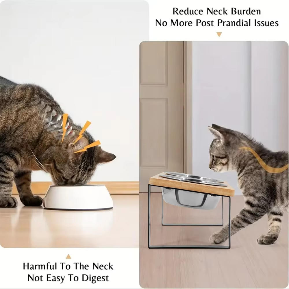 Comfort Elevated Feeding Station for Cats