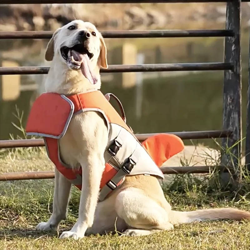Paw Floatation Vest for Confident Swimmers