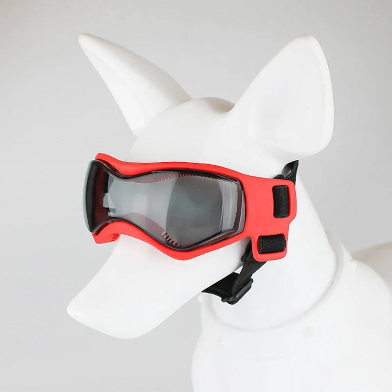Paw Protector Shades for Dogs