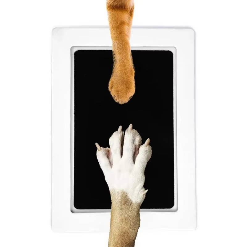 Forever Paw Print Memory Kit