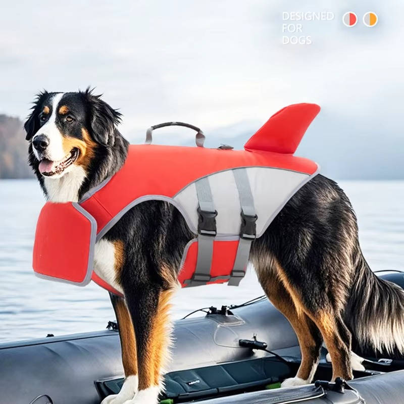 Paw Floatation Vest for Confident Swimmers