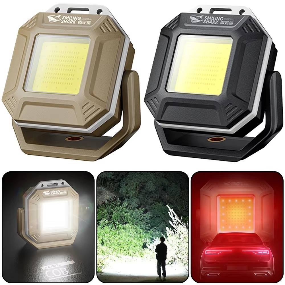 Versatile Vehicle Emergency Light System